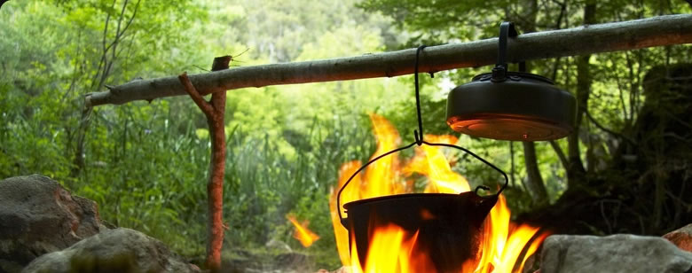 Learn Bushcraft